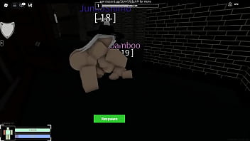 兽耳女孩的晚上