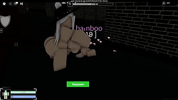 兽耳女孩的晚上