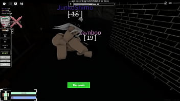 兽耳女孩的晚上