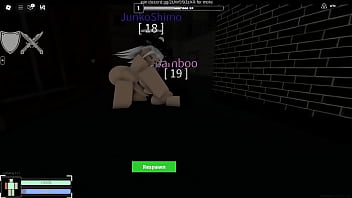 兽耳女孩的晚上