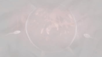 Roblox bbw gets banged by her roommate