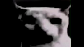 Que estoy haciendo con mi puta vida