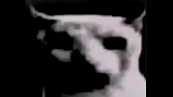 Que estoy haciendo con mi puta vida