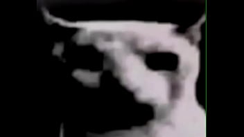 Que estoy haciendo con mi puta vida