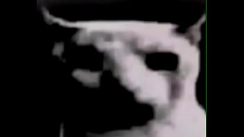 Que estoy haciendo con mi puta vida