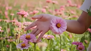 Script alert script andando e saltitando sem parar sobre os ventos da vida