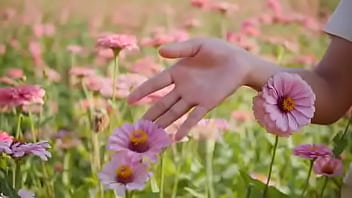 Script alert script andando e saltitando sem parar sobre os ventos da vida