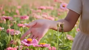 Script alert script andando e saltitando sem parar sobre os ventos da vida