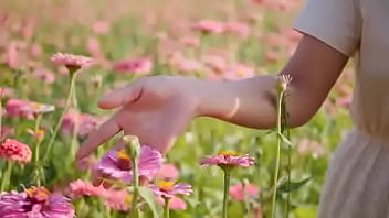 Script alert script andando e saltitando sem parar sobre os ventos da vida Script alert script andando e saltitando sem parar sobre os ventos da vida