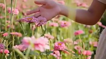 Script alert script andando e saltitando sem parar sobre os ventos da vida