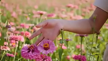 Script alert script andando e saltitando sem parar sobre os ventos da vida