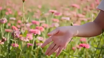 Script alert script andando e saltitando sem parar sobre os ventos da vida