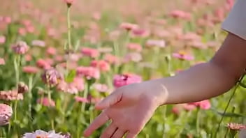 Script alert script andando e saltitando sem parar sobre os ventos da vida