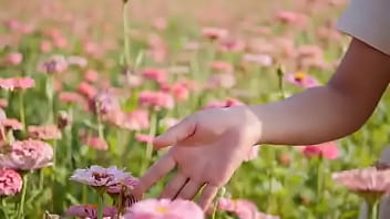 Script alert script andando e saltitando sem parar sobre os ventos da vida Script alert script andando e saltitando sem parar sobre os ventos da vida