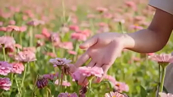 Script alert script andando e saltitando sem parar sobre os ventos da vida