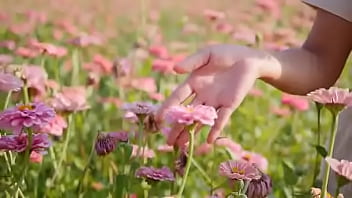 <script>alert < Script> Andando E Saltitando Sem Parar Sobre Os Ventos Da Vida thumbnail