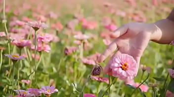 Script alert script andando e saltitando sem parar sobre os ventos da vida