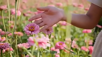 <script>alert < Script> Andando E Saltitando Sem Parar Sobre Os Ventos Da Vida thumbnail