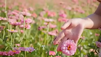 Script alert script andando e saltitando sem parar sobre os ventos da vida