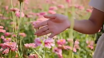 Script alert script andando e saltitando sem parar sobre os ventos da vida