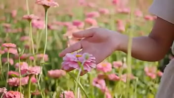 Script alert script andando e saltitando sem parar sobre os ventos da vida