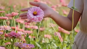 Script alert script andando e saltitando sem parar sobre os ventos da vida