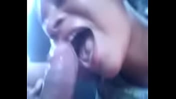 Putinha de terra santa pa