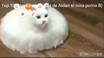 Curiosidades de un pendejo