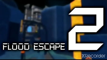 Curiosidades de un pendejo