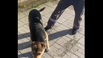 Видео для верификации