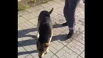 Видео для верификации