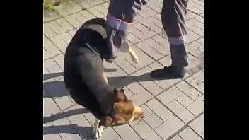 Видео для верификации