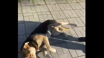 Видео для верификации