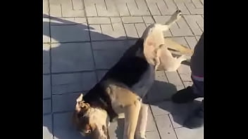 Видео для верификации