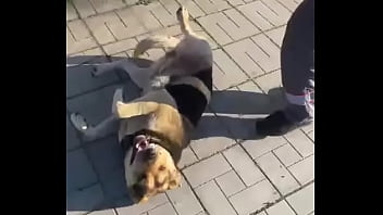 Видео для верификации