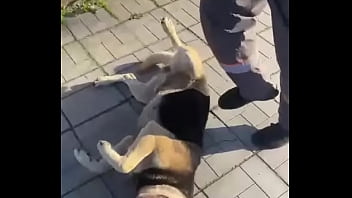 Видео для верификации