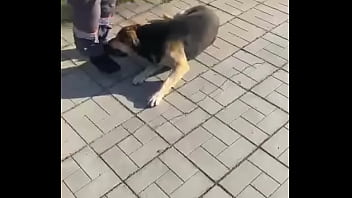 Видео для верификации