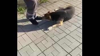 Видео для верификации