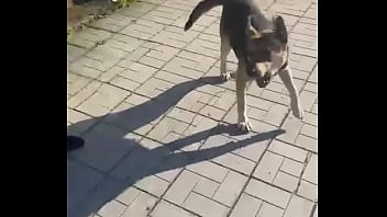 Видео для верификации