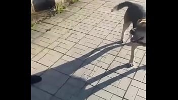 Видео для верификации