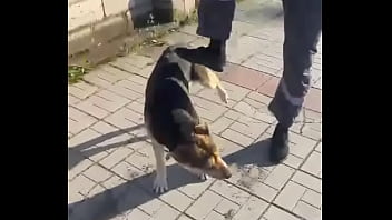 Видео для верификации