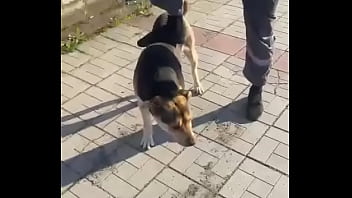 Видео для верификации