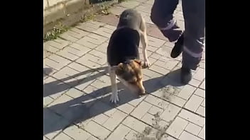 Видео для верификации