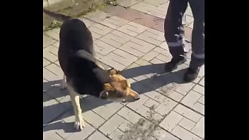 Видео для верификации