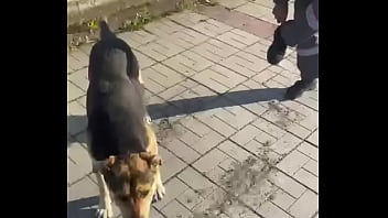 Видео для верификации