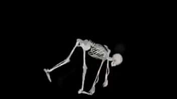 Esqueleto corno manso