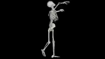 Esqueleto corno manso