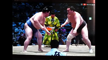 白鵬ちゃんは200万円で八百長相撲をやっております