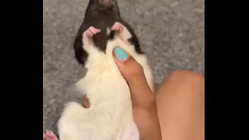 Colby this rat is so full of personality i love him so much he’s such a good rodent