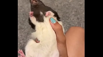 Colby this rat is so full of personality i love him so much he’s such a good rodent